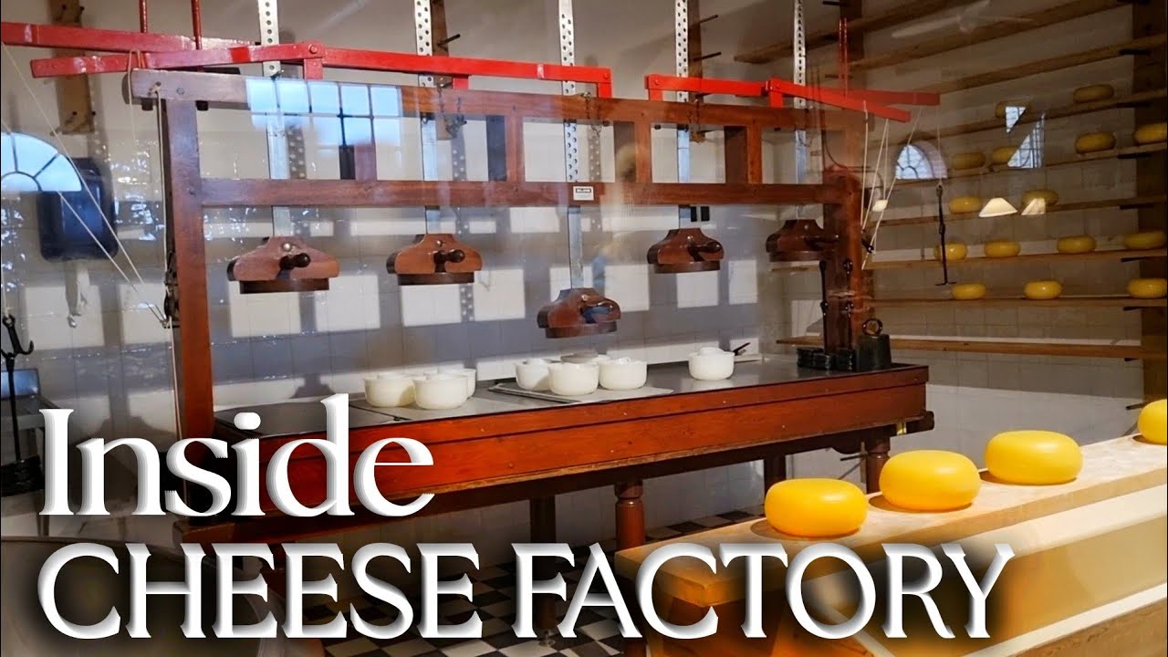 Traditional cheese making in the Netherlands🧀 | Holland | Spin the City