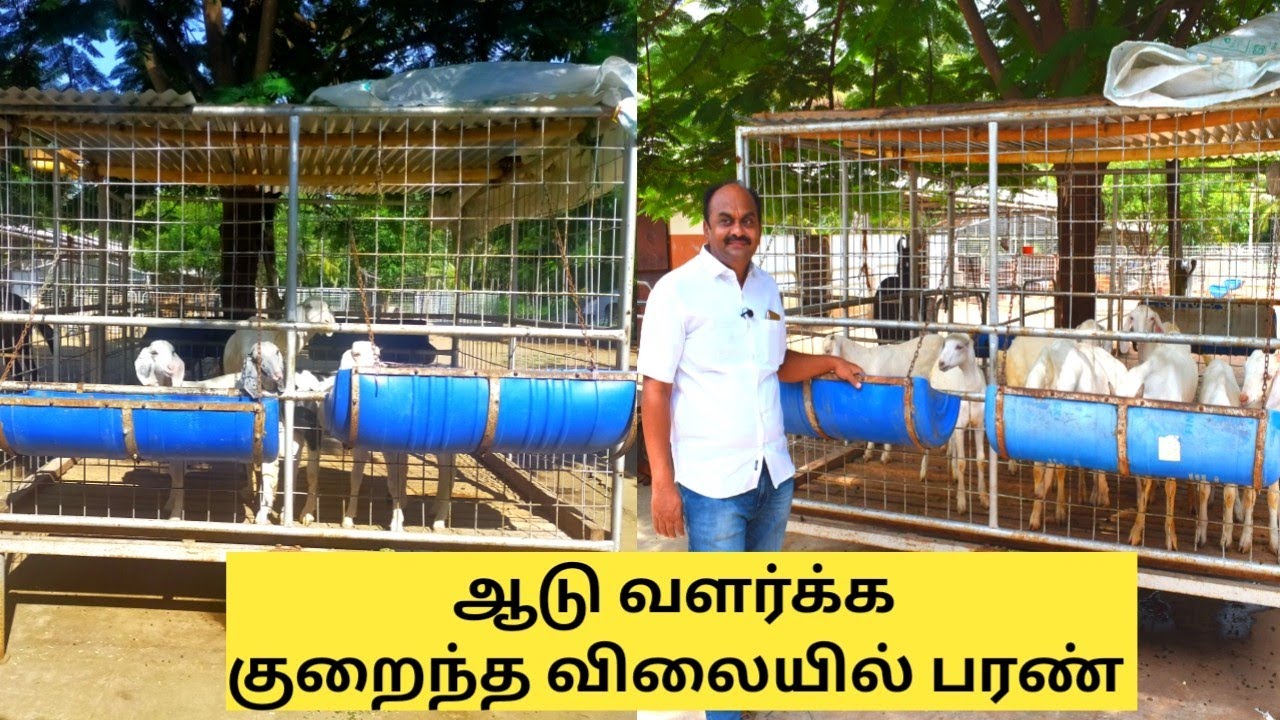 10 ஆட்டுக்கு 20000 ரூபாயில் பரண் அமைக்கலாம் | Low cost goat shed
