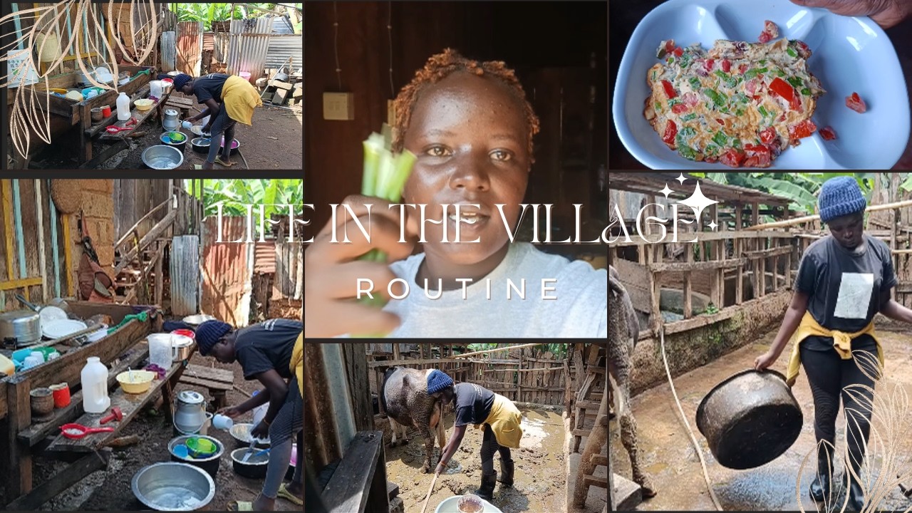 Village life vlog | feeding animals, cooking and chores