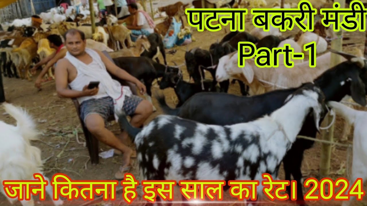 Patna Bakri Mandi| Eid Ul Adha 2024|Jagdeopath| जाने क्या है इस साल का रेट| Part-1| 