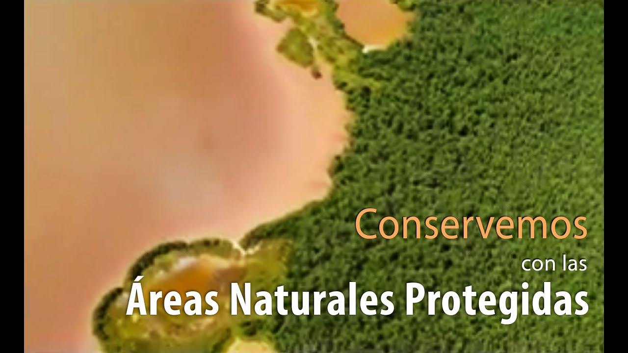 Conservemos con las Áreas Naturales Protegidas
