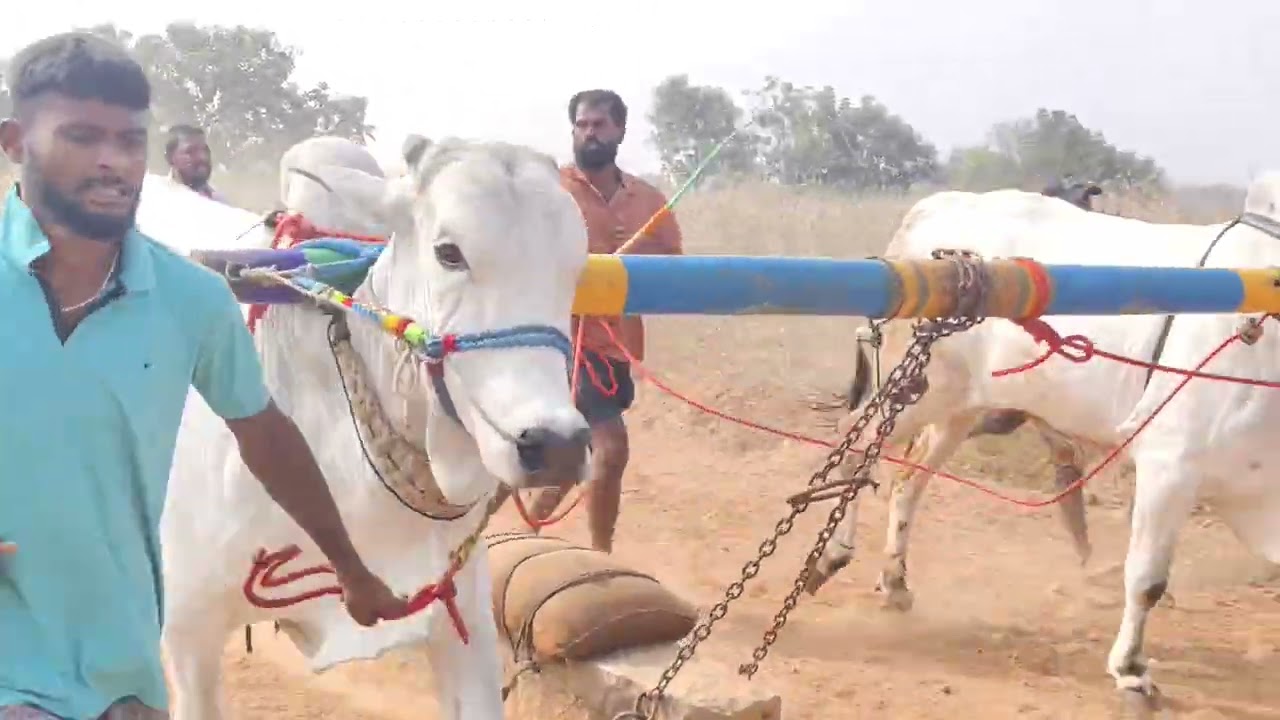 ###Load beta## srk #bulls#   3/1/2026