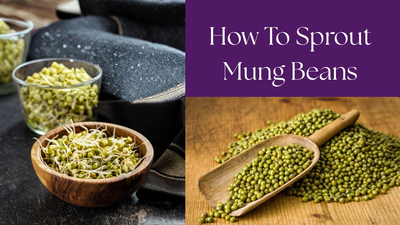 How to make green moong sprouts