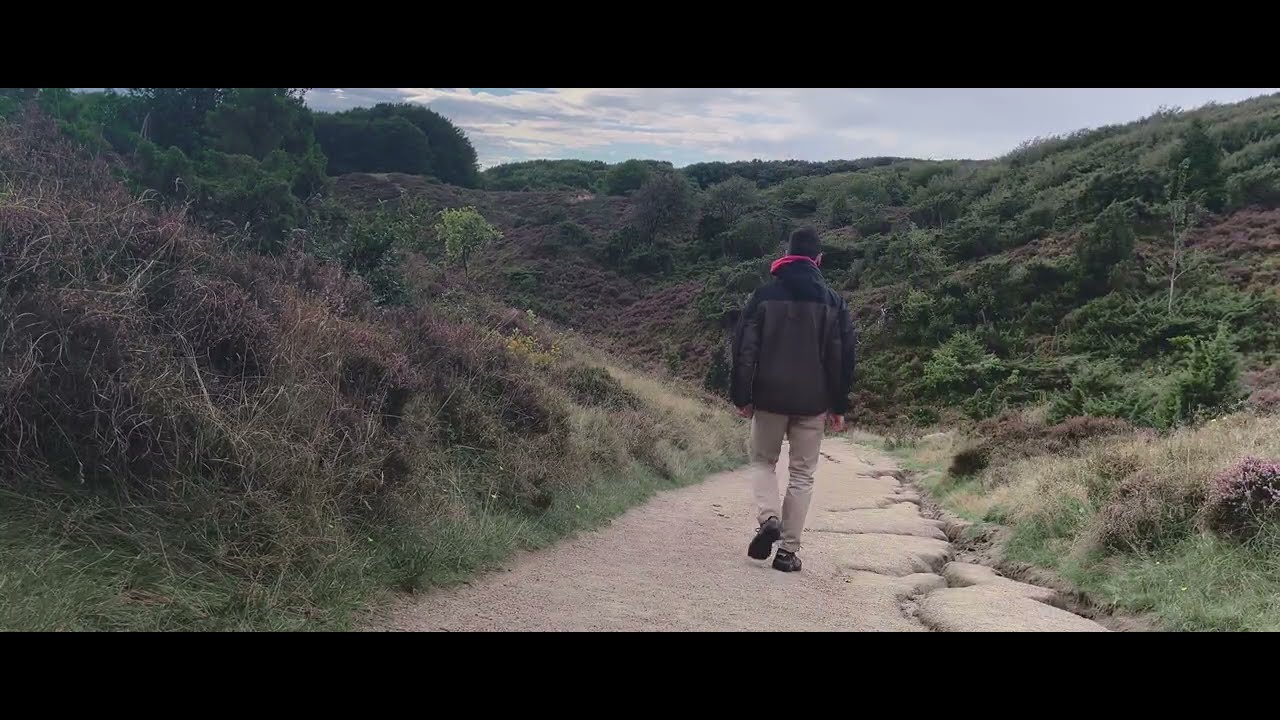 End of summer silent solo hiking in Rebild National Park, Nordjylland (Denmark)