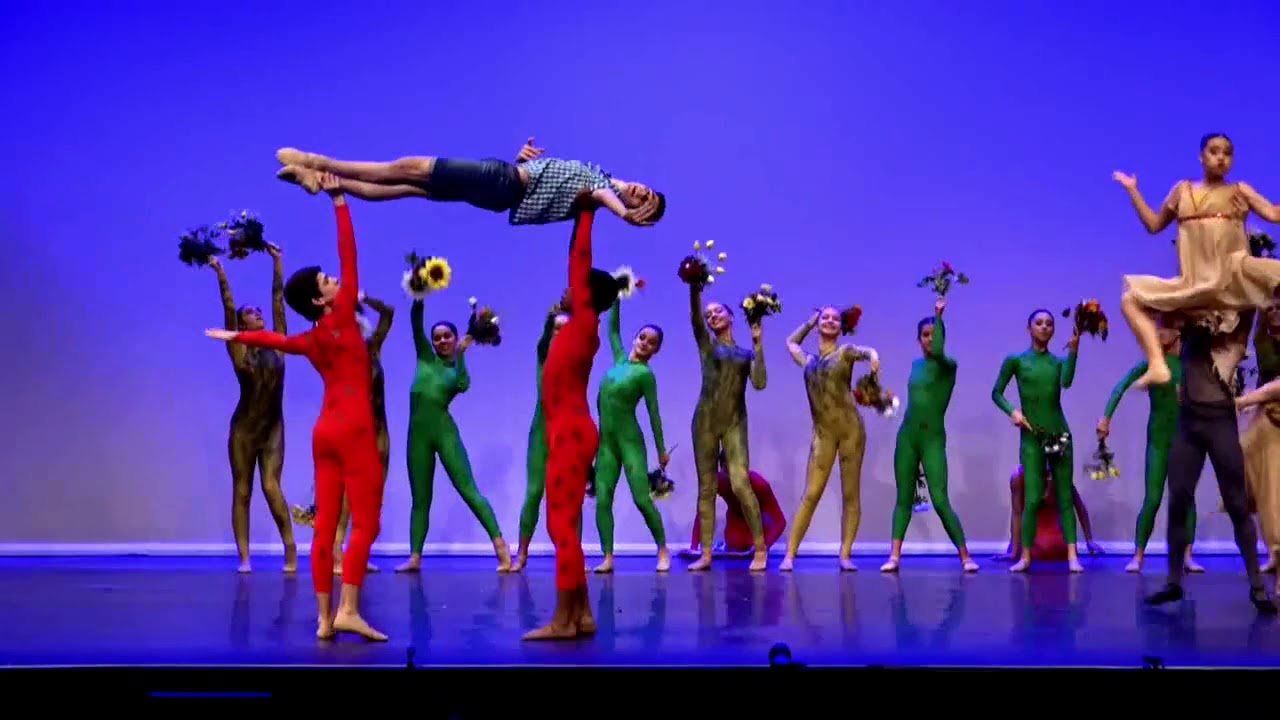 RAPAZ APAIXONADO | Dance World Cup Finals, Braga, PT (2019)
