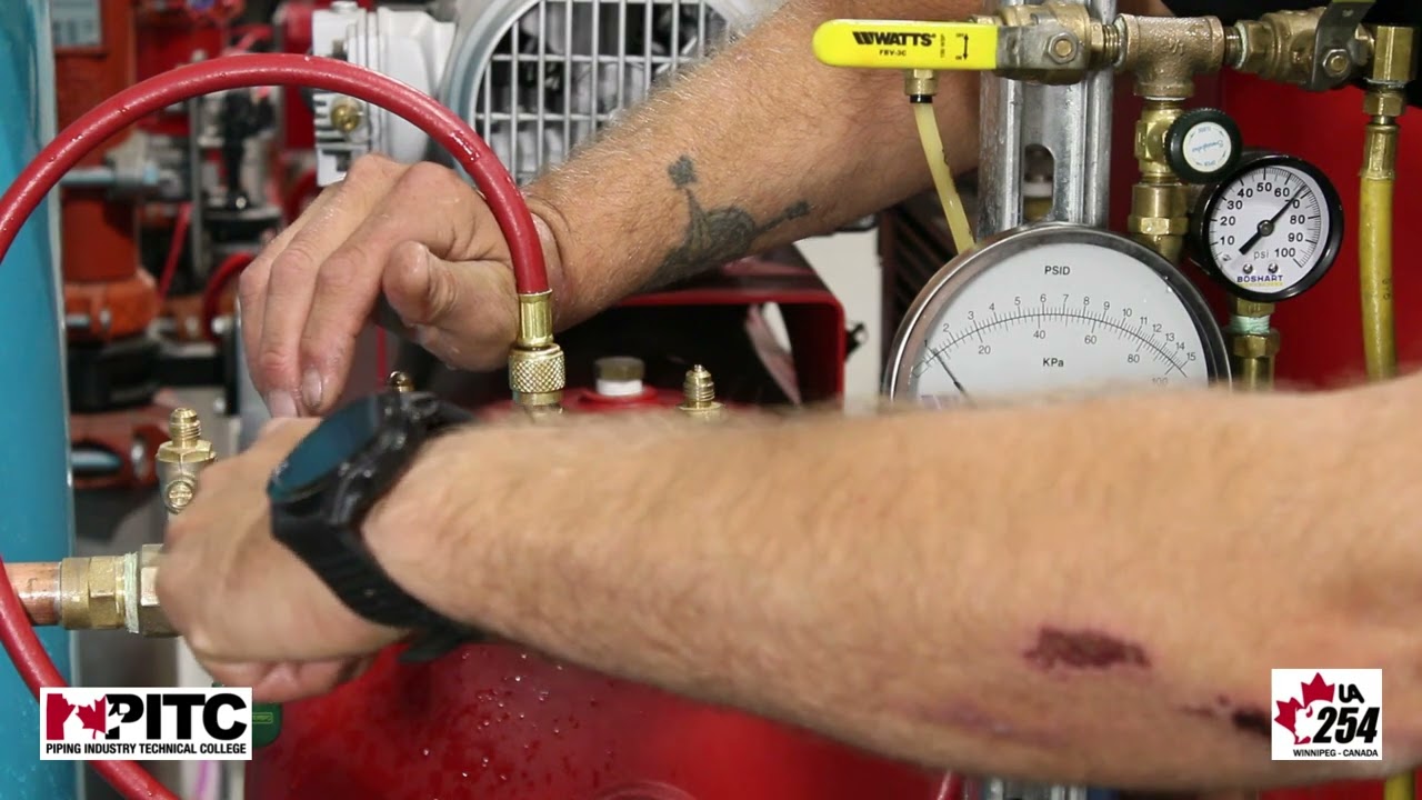 WATTS 007 Double Check Valve Assembly