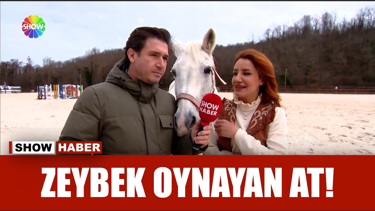 Yetenekli attan 