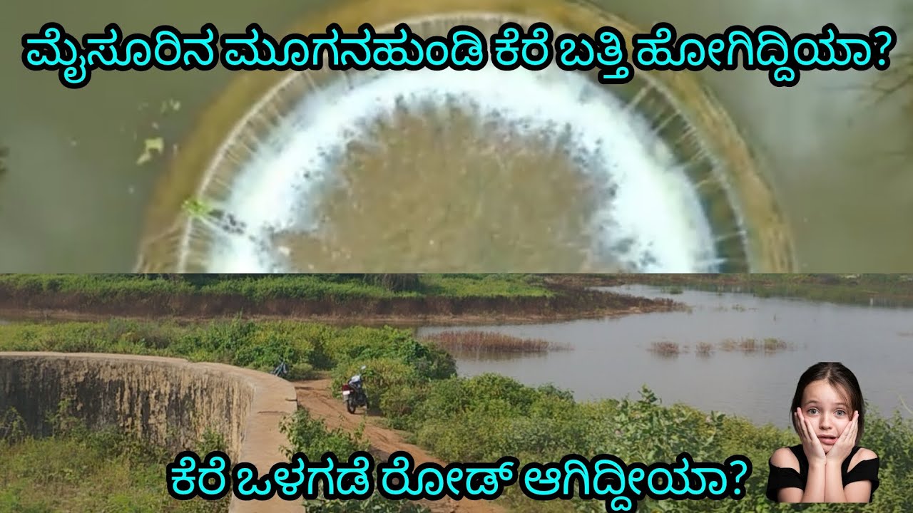 Mugna hundi kere in Mysore / Mysore Mugnundi kere/ Moogana hundi kere #mysoretouristplaces #mysore