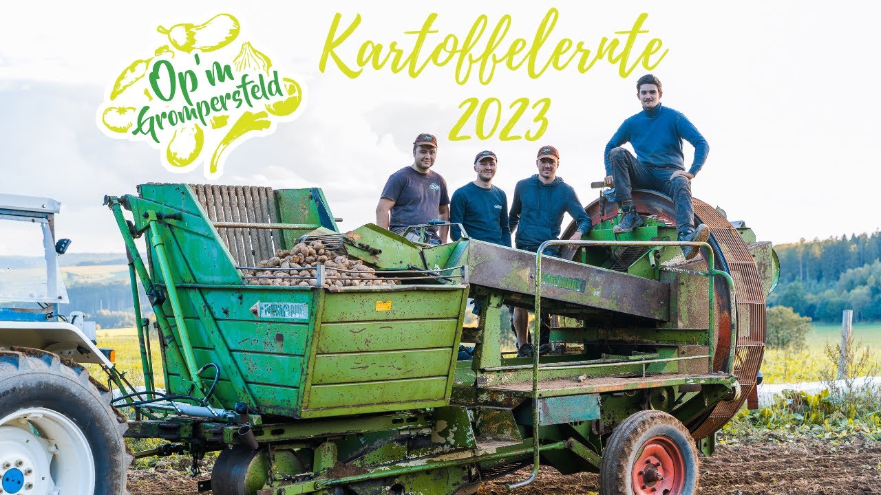 Kartoffelernte 2023 Op'm Grompersfeld