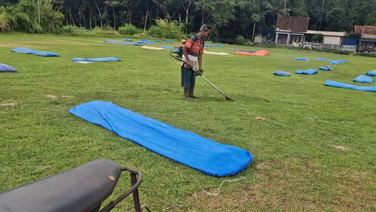 EFFORTLESS GRASS CUTTING ON OPEN FIELDS WITH MODERN TOOLS! - Agriculture Gardening