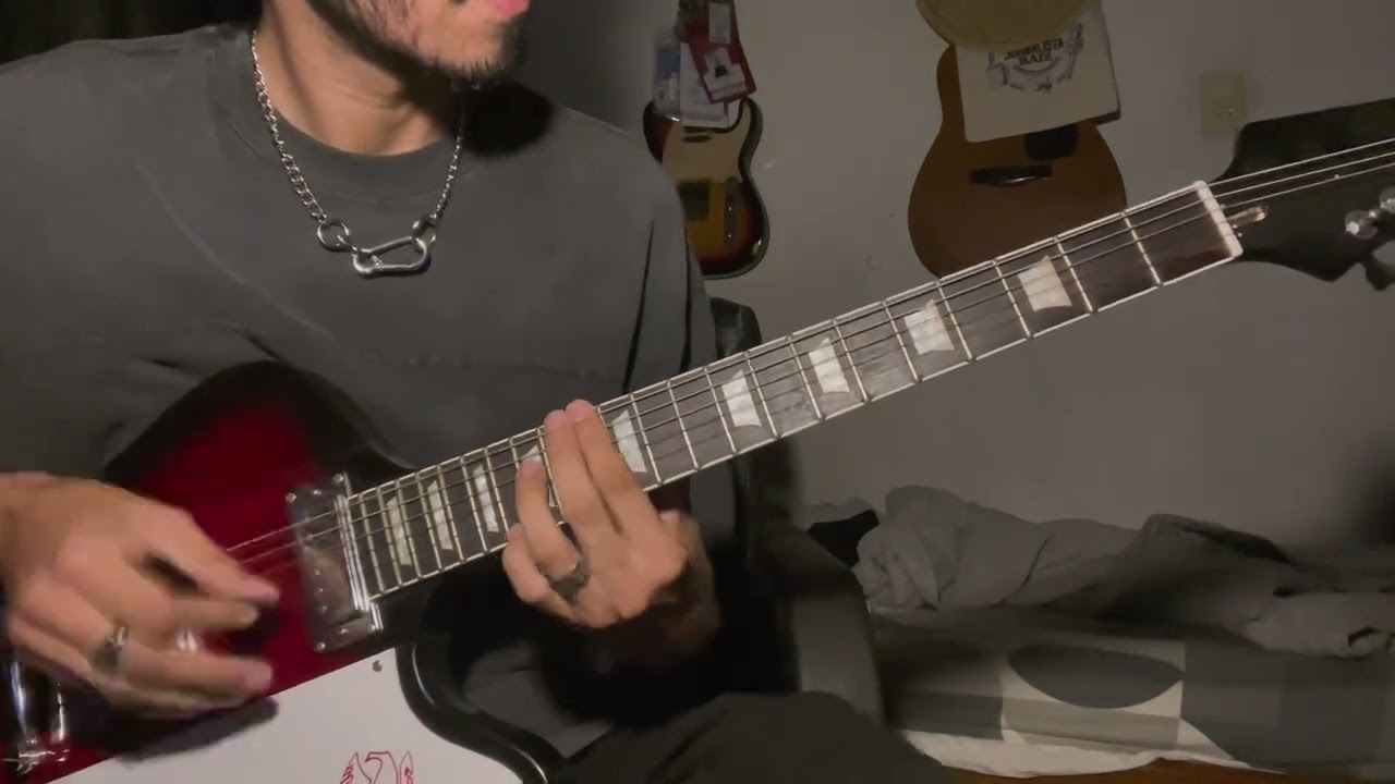 Turnstile - Birds - Guitar Cover
