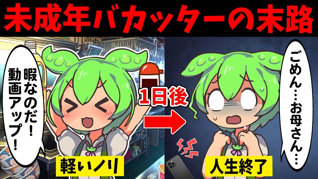 【バイトテロ】バカッターで炎上した未成年ずんだもんの末路【ずんだもん闇解説】