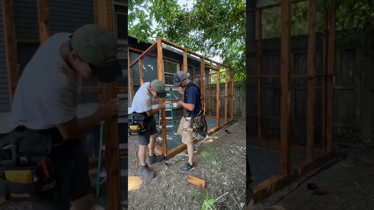 Building a Catio 🐈&zwj;⬛🖤 #catio