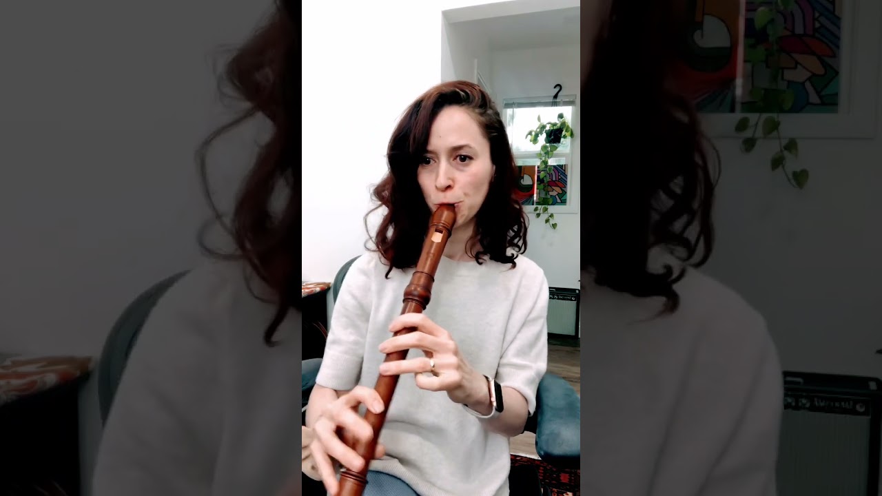 This actually kinda works on recorder 🫢 @Mollenhauer-Blockfloeten 