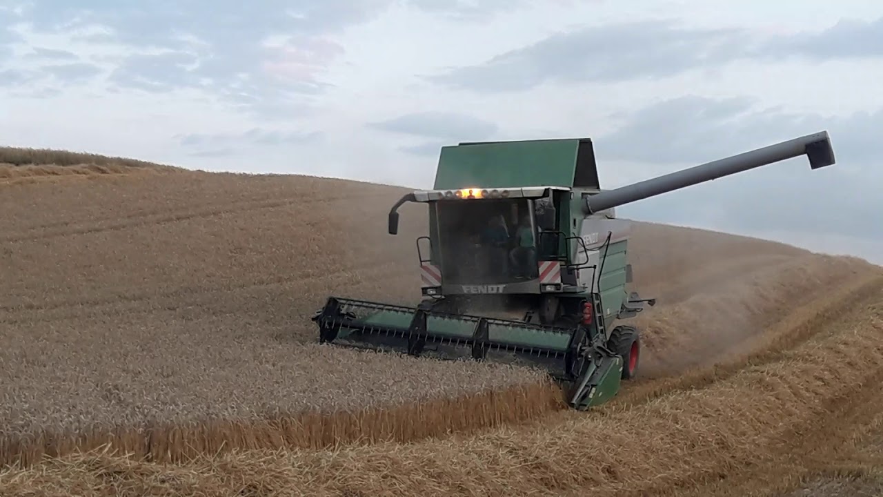 Koszenie pszenicy 2019 cz2.
