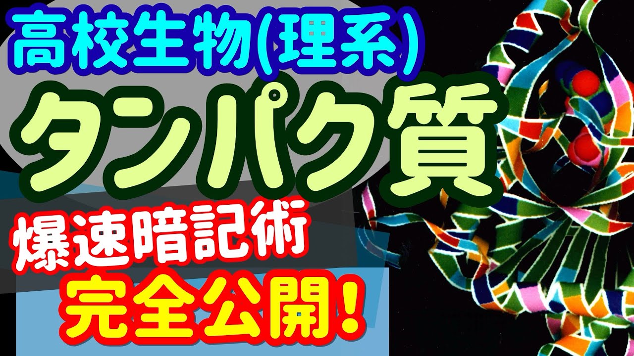 【高校生物 23】【タンパク質の構造】を宇宙一わかりやすく