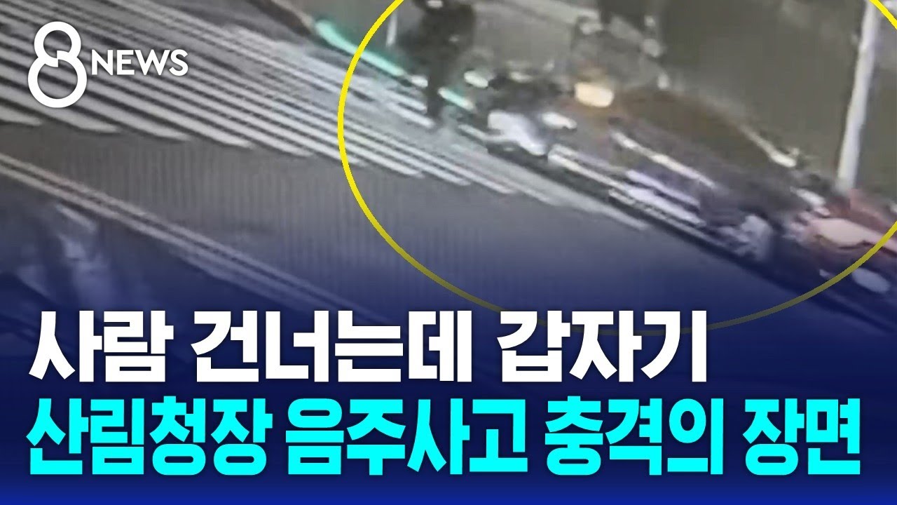 사람 건너는데 갑자기…산림청장 음주사고 충격의 장면 / SBS 8뉴스