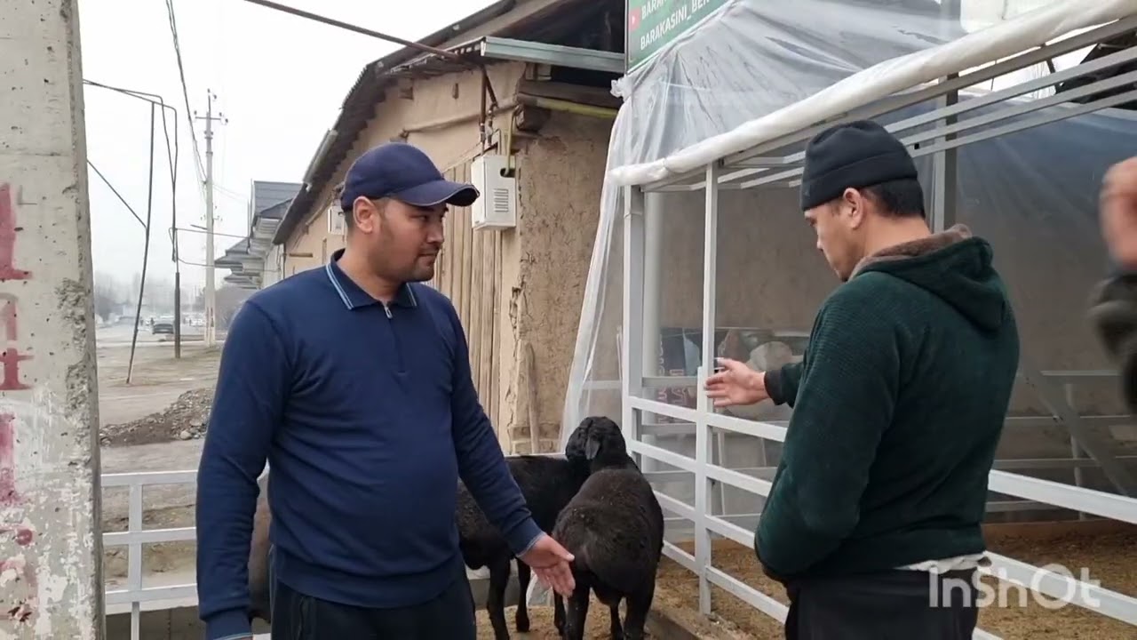 Обуна булинг енг арзони бизда 94 507 23 23