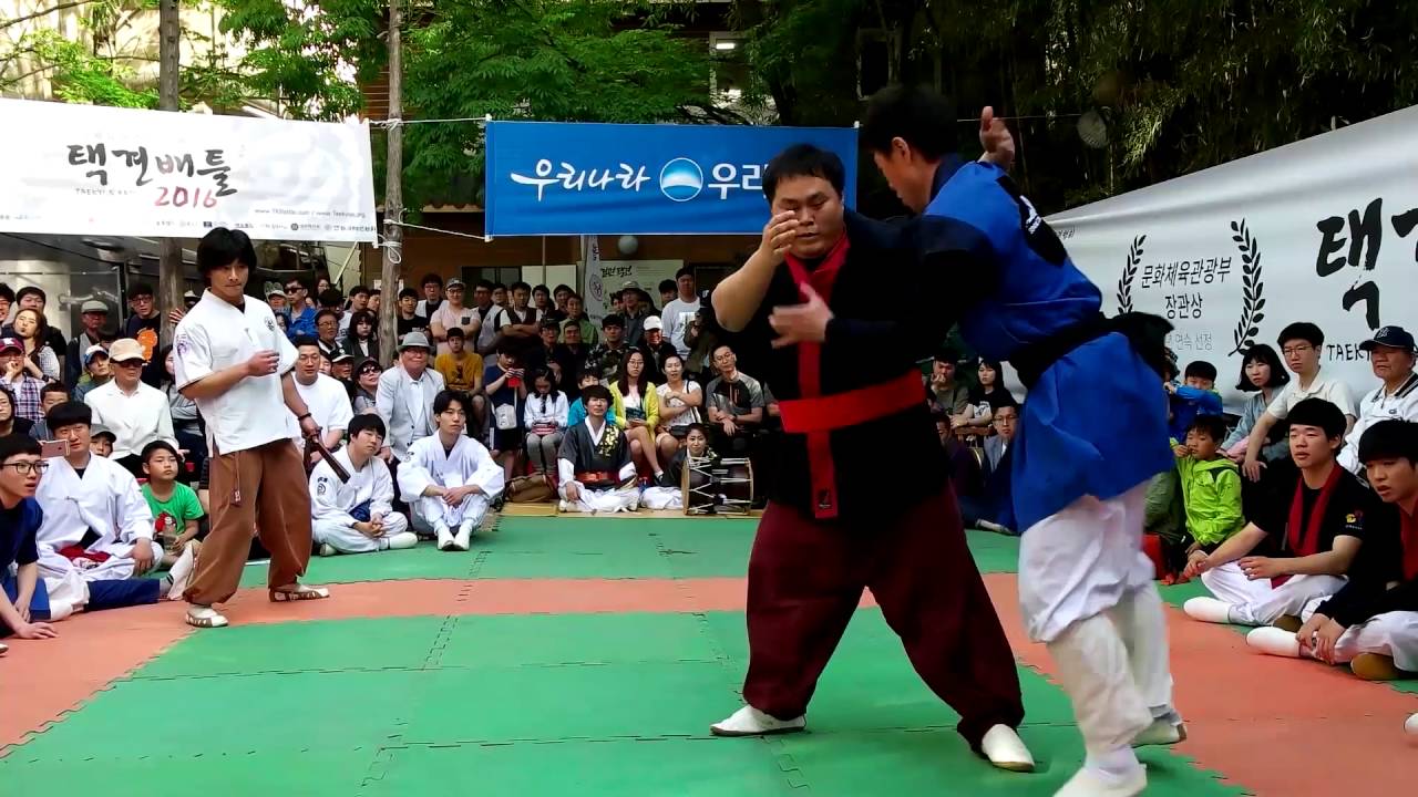택견배틀 2016  1배틀 경기수원 vs 국민대★