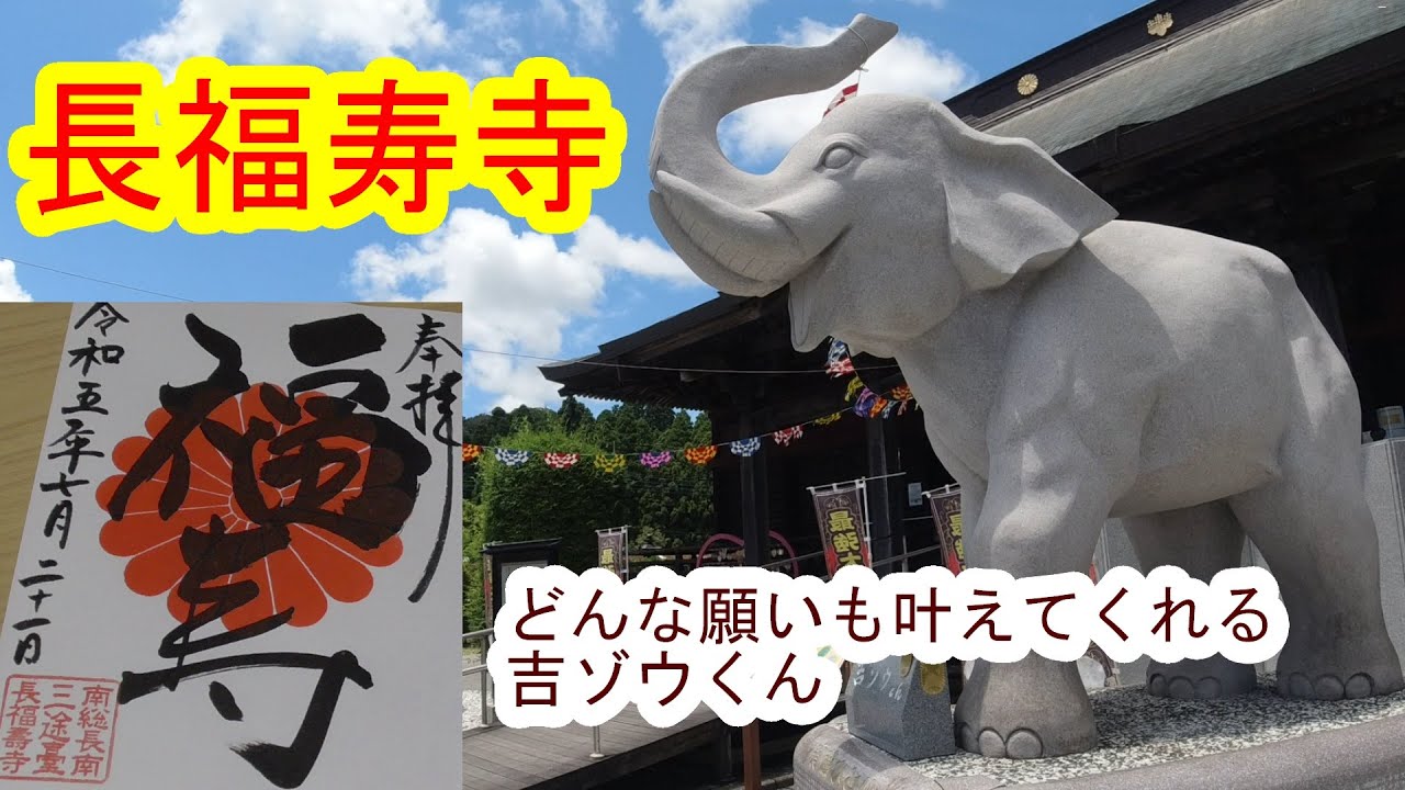 【御朱印巡り】長福寿寺 どんな願いも叶えてくれる吉ゾウくんがいる！