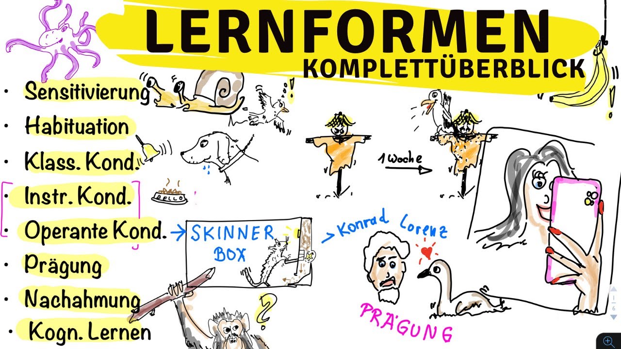 Lernformen (Lernarten) im Überblick: Sensitivierung, Konditionierungen, kognitiven Lernen...