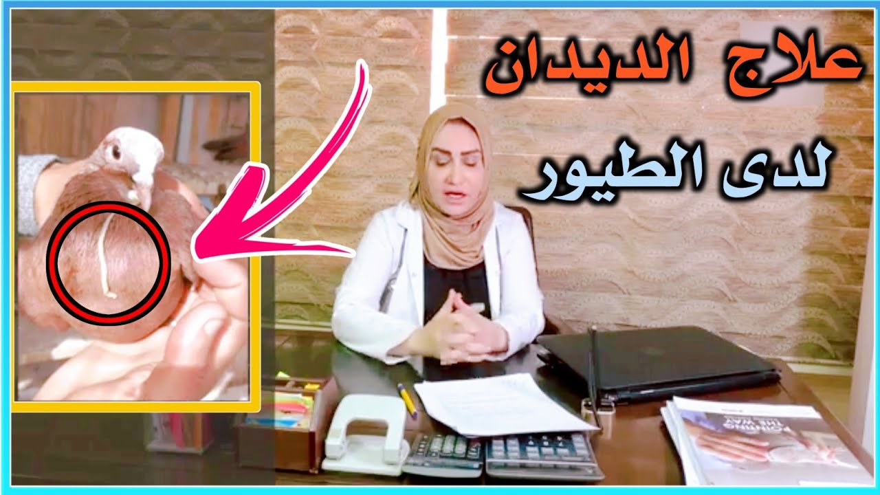 حلقه خاصه|علاج الديدان لدى الطيور.مع الدكتورة [ الاء حكمت] طرق العلاج والوقايه.وأهم انواع الديدان.