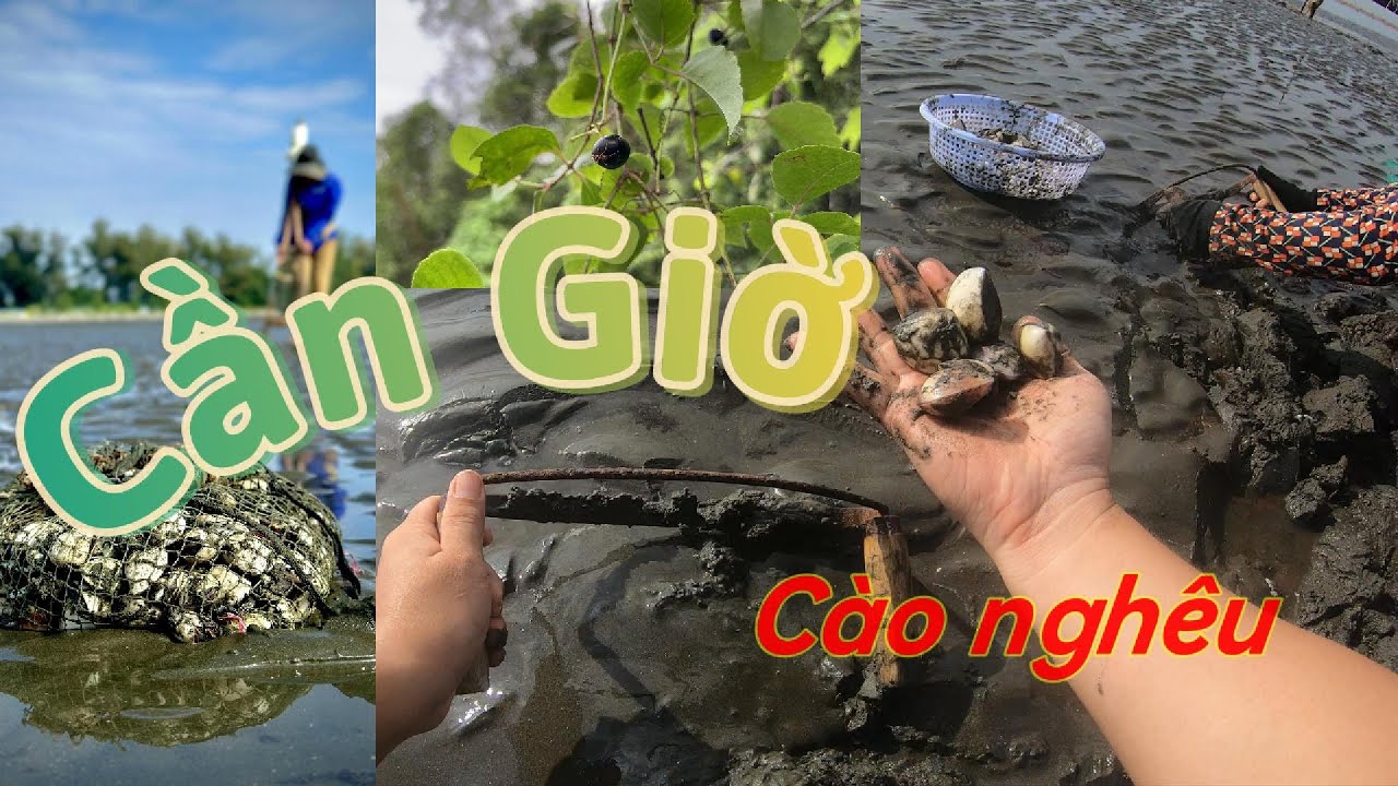 [HCM] CẦN GIỜ: Camping biển, thử cách cào bắt nghêu cùng ngư dân