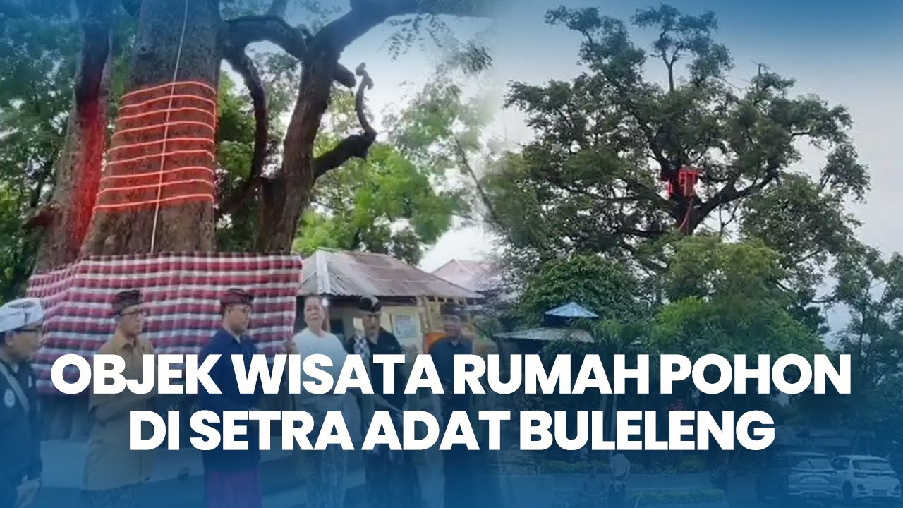 Dari Pos Pemantauan, Rumah Pohon di Setra Adat Buleleng Dicanangkan Jadi Tempat Wisata Bersejarah