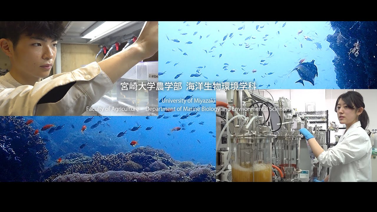 「海の未知を科学する」宮崎大学農学部海洋生物環境学科