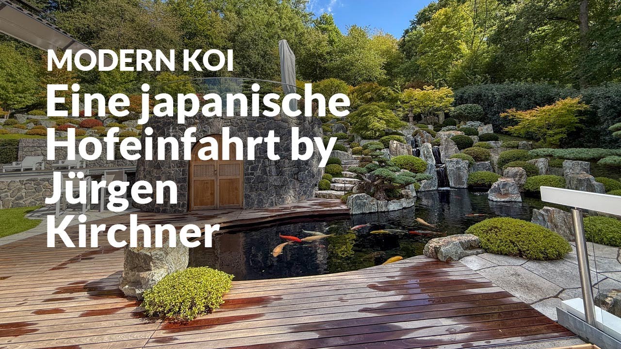 Mit Makoto bei Jana und Henning | Modern Koi Blog #7667