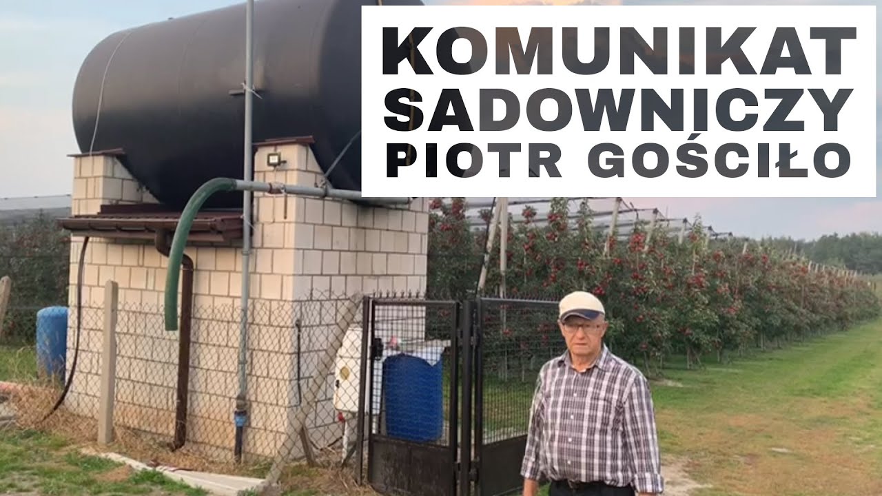 #53 RED JONAPRINCE -  Komunikat Sadowniczy Piotr Gościło