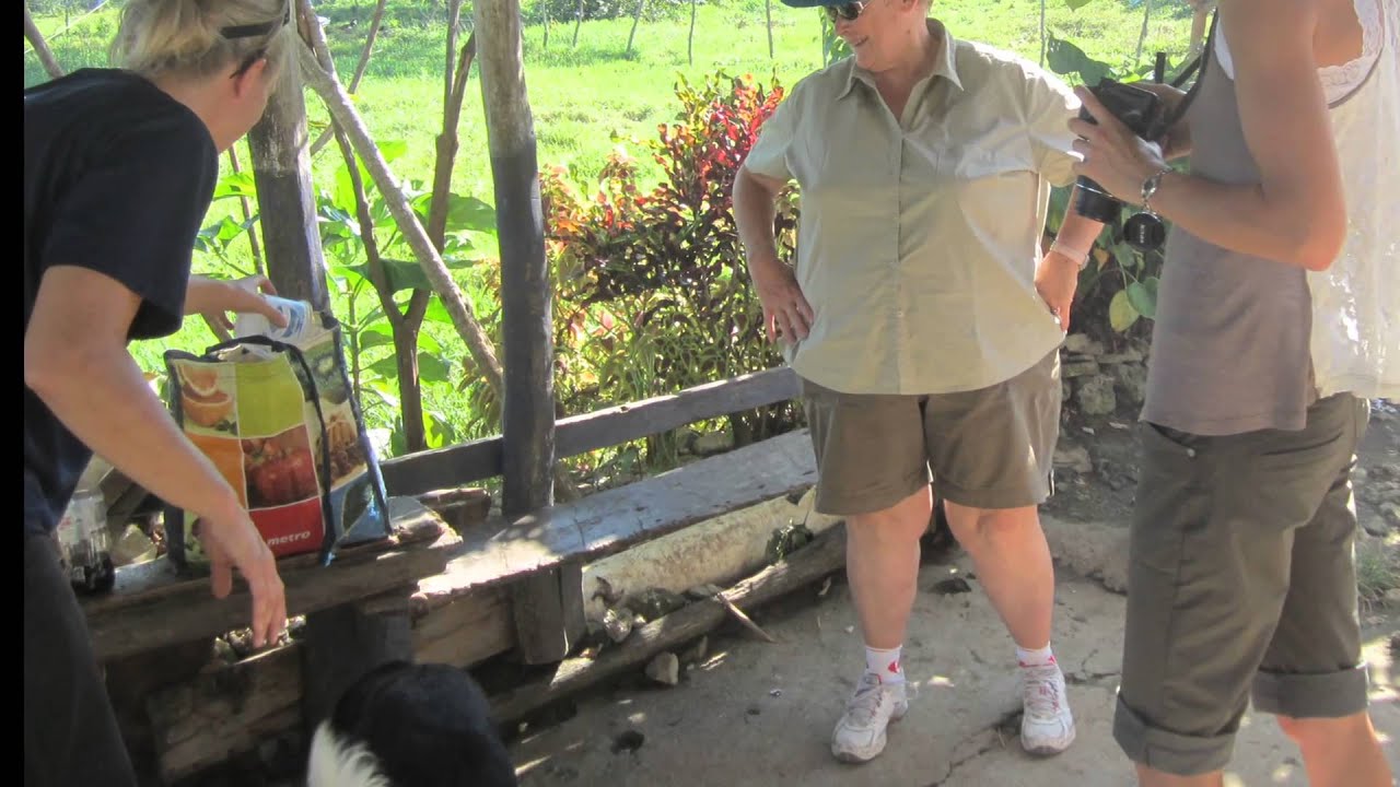 Dogs and Cats of DR