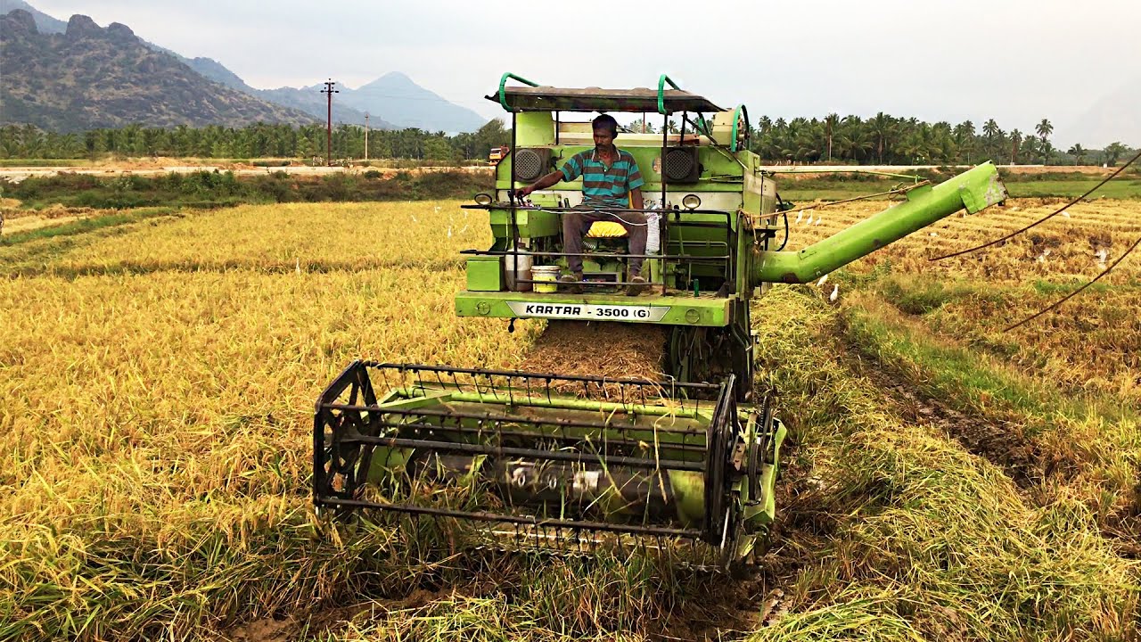 RICE Harvesting Machine | Modern Technology Agriculture | Agriculture Machines | Kartar 3500 G