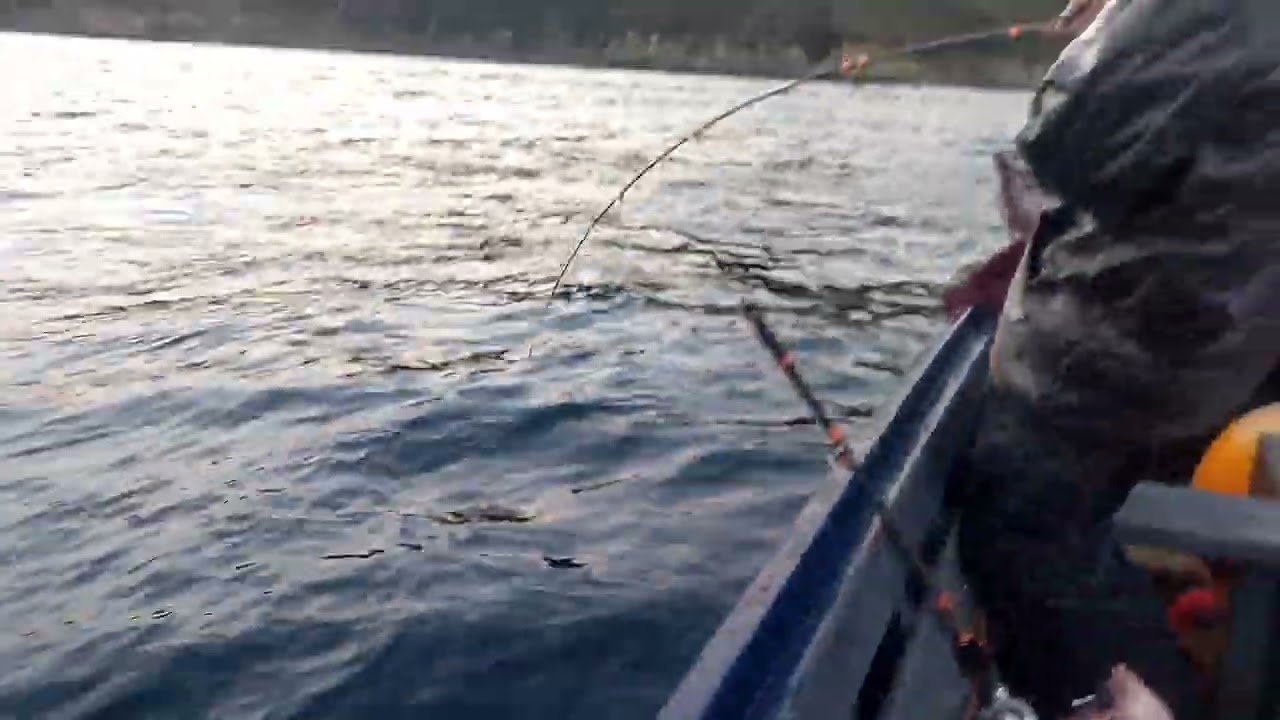 الصيد 🐟 السمك 🐟 باكورة مع الرايس يوسف عن طريق جر بالقارب