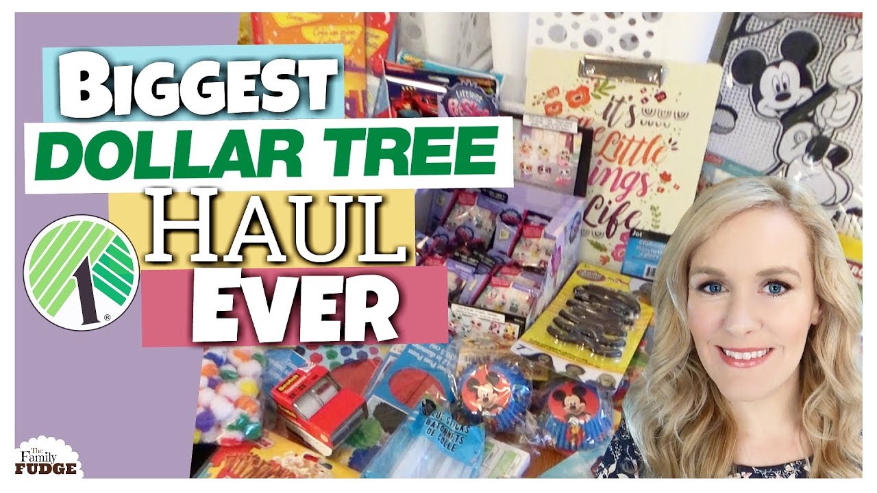 BIGGEST DOLLAR TREE HAUL EVER! || Back to School, Birthday, Organization and TOY Haul