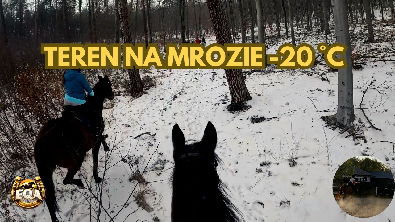 Przetrwaliśmy -20°C! Szaleństwo czy pasja? Zimowy konny teren ❄️
