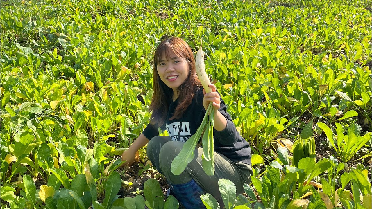 Harvesting radish🫜 & scouring for river snails😛