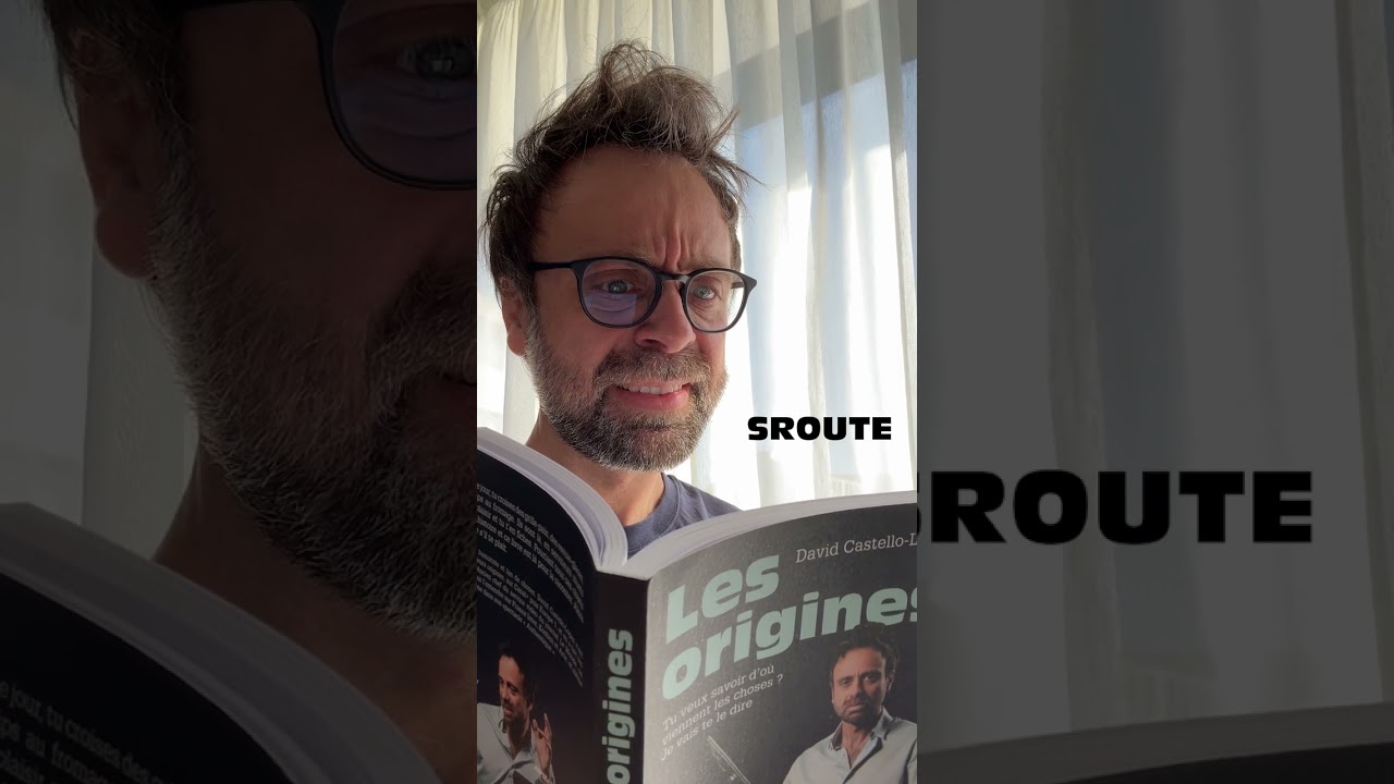 Je suis &eacute;crivain