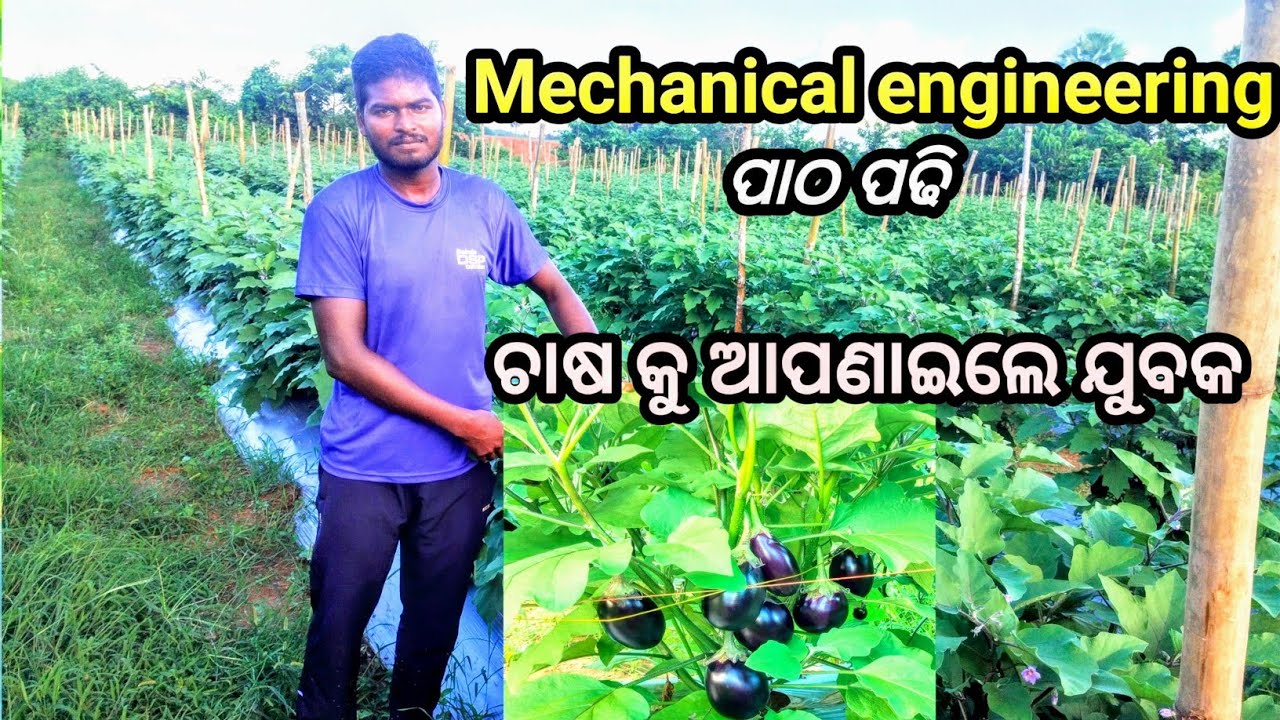 Mechanical engineering ପାଠ ପଢି ଚାଷ କୁ ଆପଣାଇଲେ ଯୁବକ