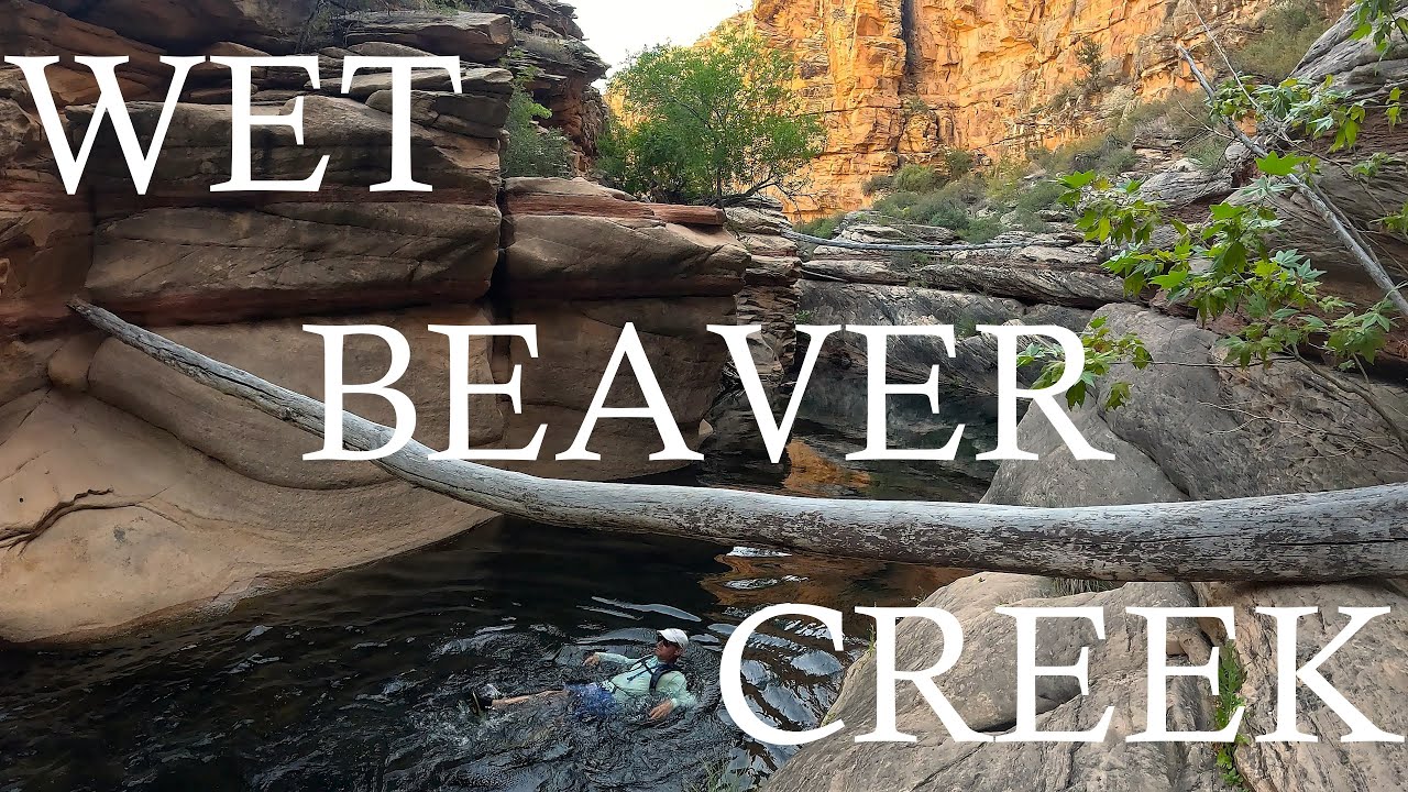 Hiking & Swimming the Entirety of Wet Beaver Creek In A Day // 15 miles off trail