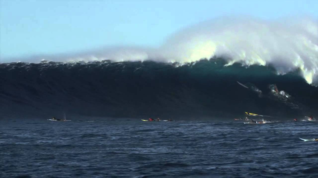 Dang Jaws by ACL Digital Cinema
