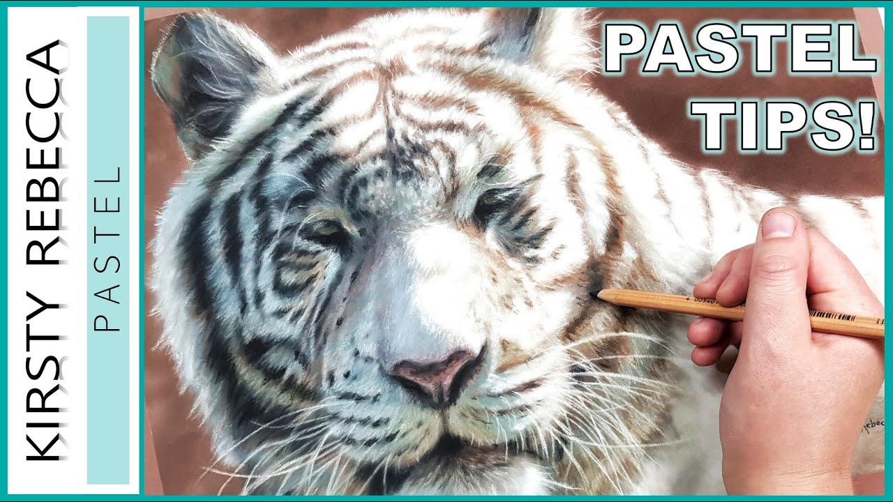 HOW TO draw FUR with PASTELS  // STEP BY STEP tutorial!
