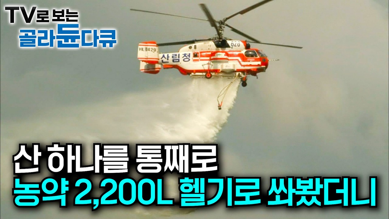 80만 평 밤나무 산. 15분에 한 번씩 헬기로 농약 2,200L 뿌려봤더니｜산불진화, 방제, 인명구조, 화물운반 임무를 맡는 산림항공본부 소속 헬기｜극한직업｜#골라듄다큐