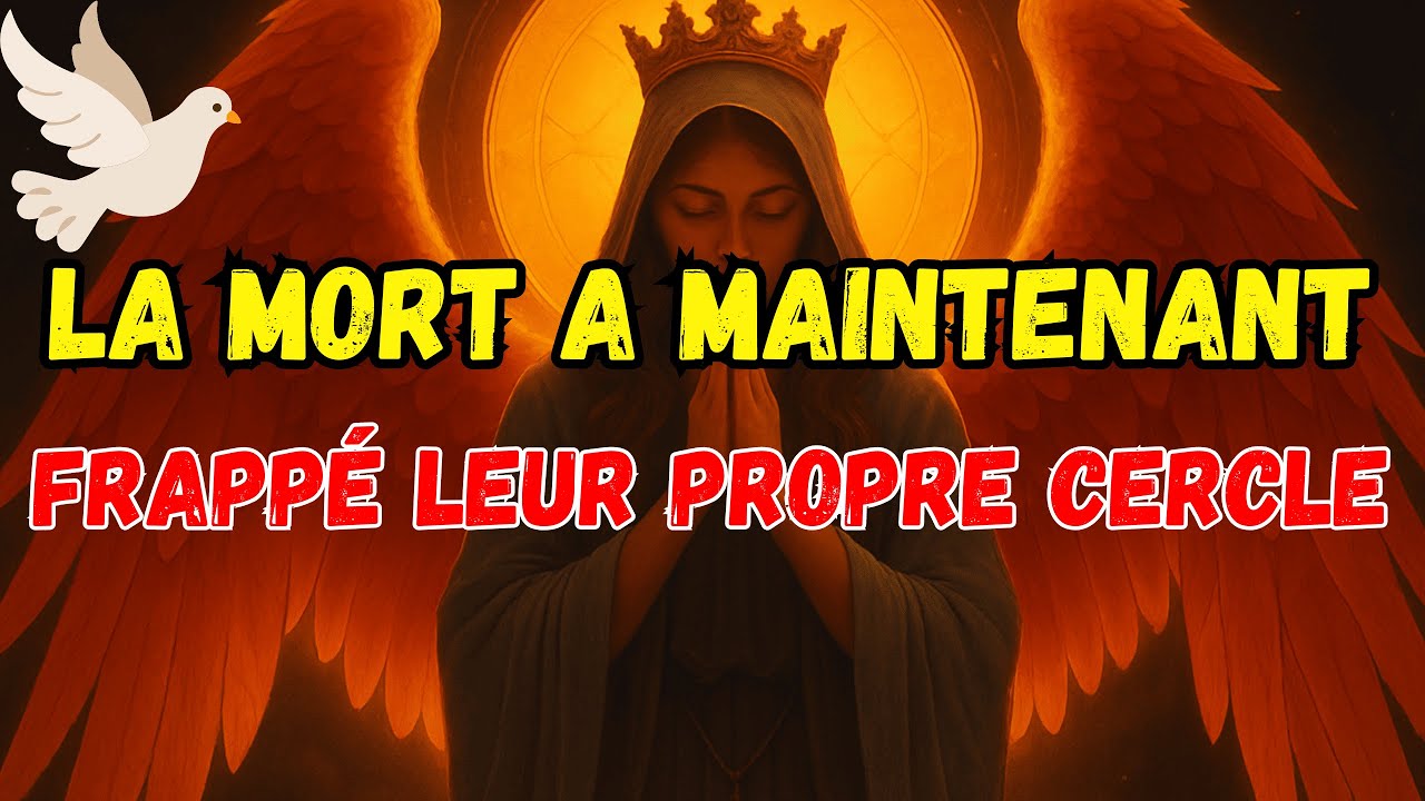 Elu(e) , 😤 Ils ont utilisé la magie noire contre toi… mais Dieu a inversé le sort ! ☠️🔥
