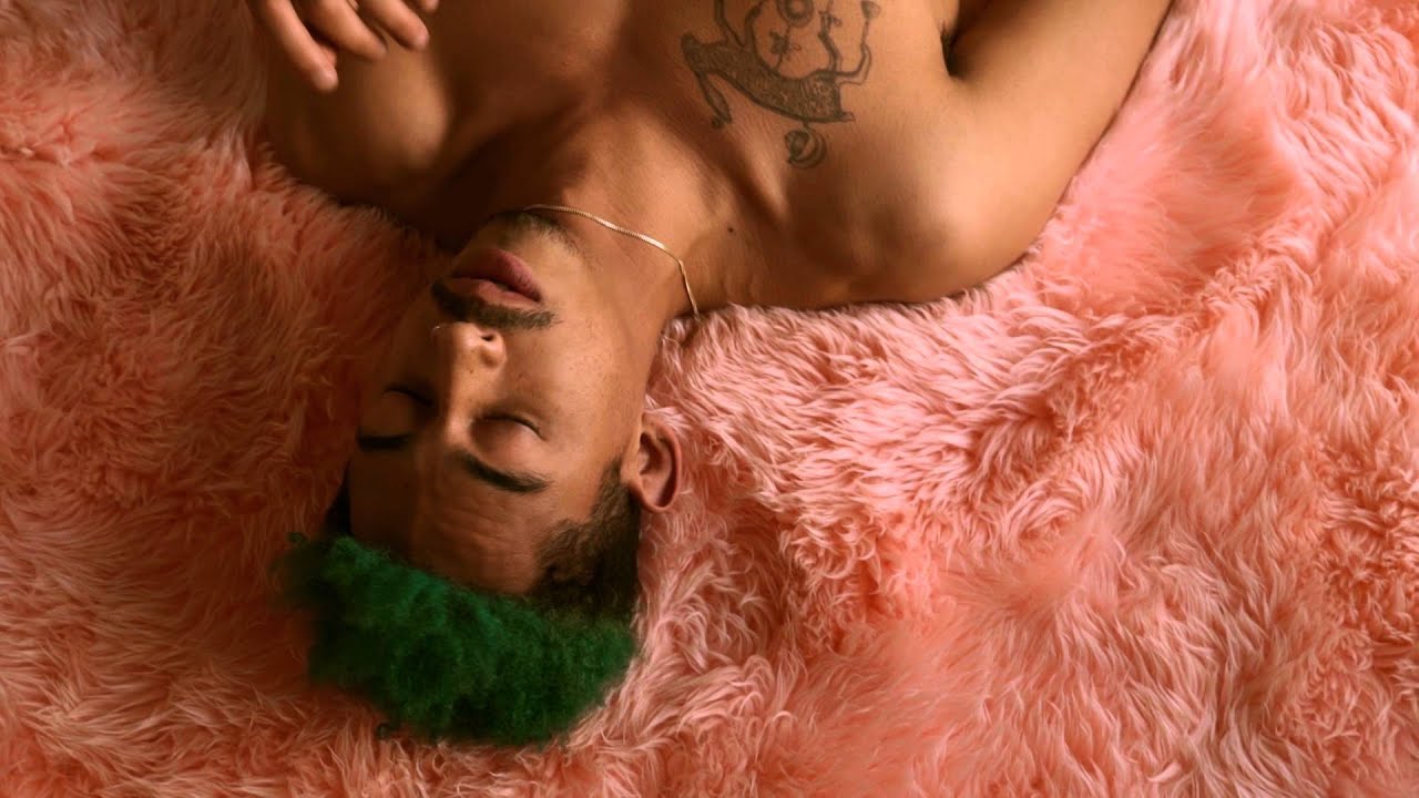 Wildhood - Where Have You Been?