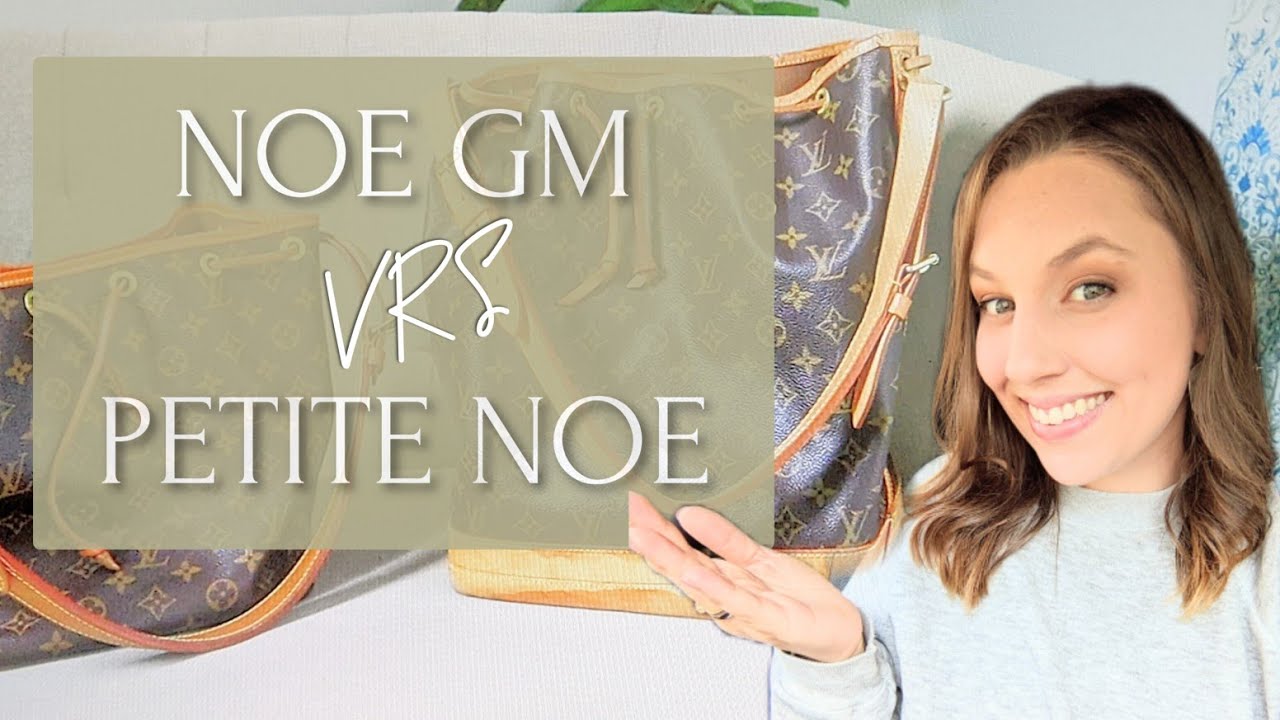 БЫСТРОЕ видео сравнения Louis Vuitton NOE GM / PETIT #LVBAG #NOE #bagcollection #luxbag