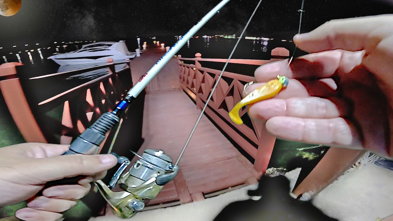 ESSE SHAD PEGA MUITO! PESCARIA DE ROBALOS BONITOS com ISCAS ARTIFICIAIS no YCSV, em SÃO VICENTE!!