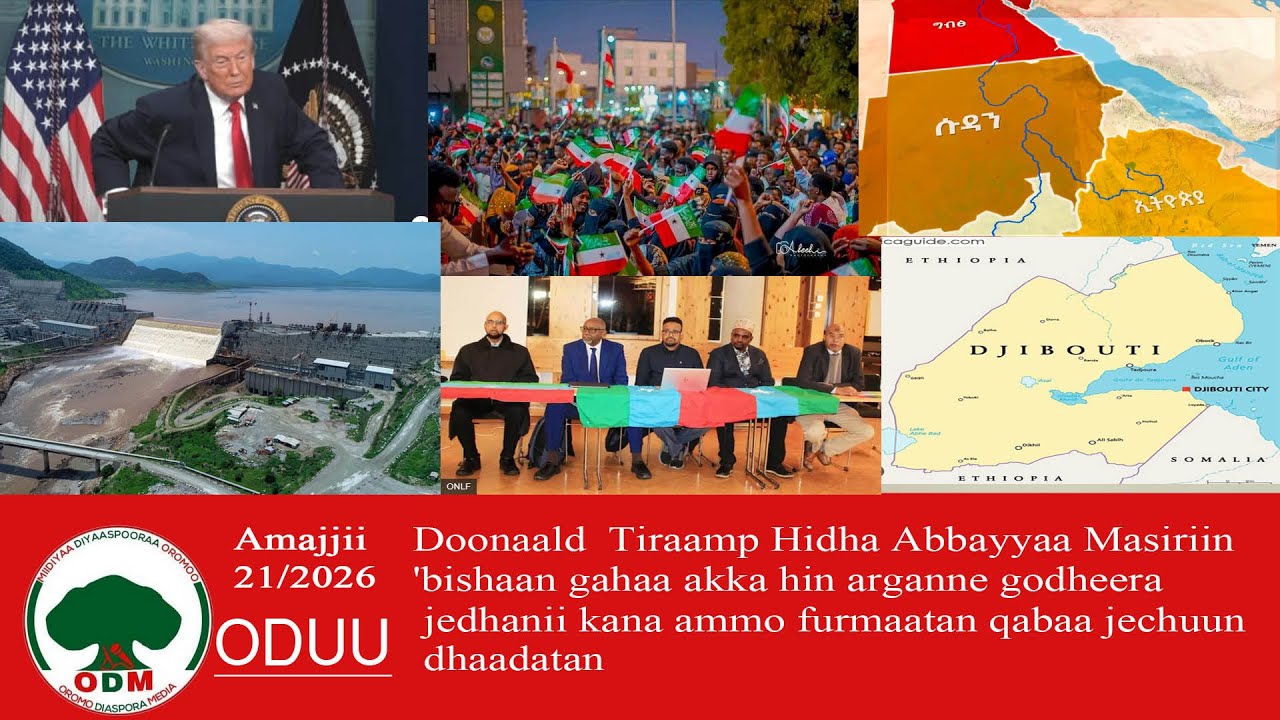 ODM :Oduu Amajjii 21/ 2026