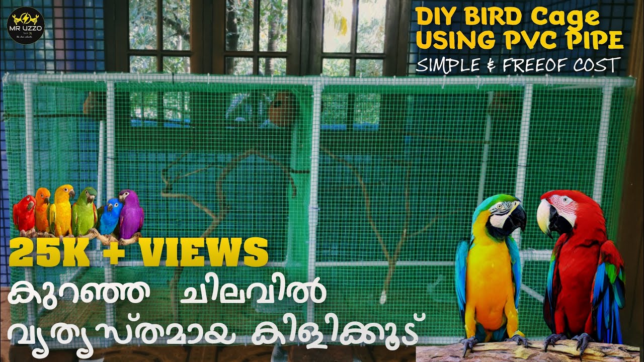 How to make bird cage easily at home with pvcpipe ||പിവിസി പൈപ്പ് കൊണ്ടൊരു കിളിക്കൂട് ഉണ്ടാക്കിയാലോ?