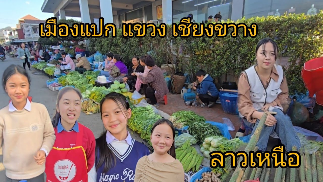 #food #เที่ยวลาว ตลาดแลงเมืองแปก #แขวงเชียงขวาง #สปปลาว #สาวลาว แม่ค้าน่ารัก #อาหารตามฤดูกาล #laos